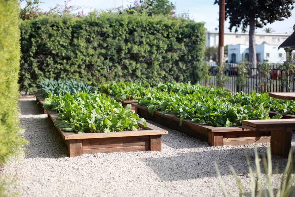 Leighton Ave Urban Farm by Alma Backyard Farms - Photo 54