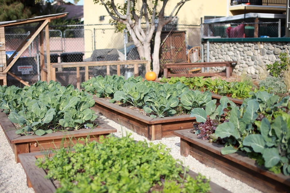 Leighton Ave Urban Farm by Alma Backyard Farms - Photo 43