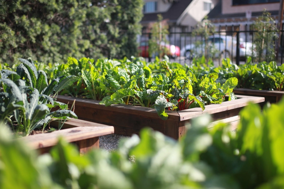 Leighton Ave Urban Farm by Alma Backyard Farms - Photo 28