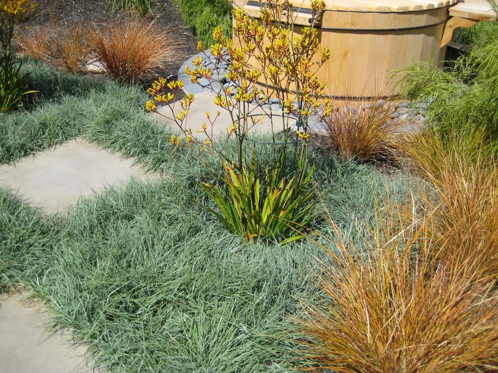 Mod Med by Jeffrey Gordon Smith Landscape Architecture - Photo 13