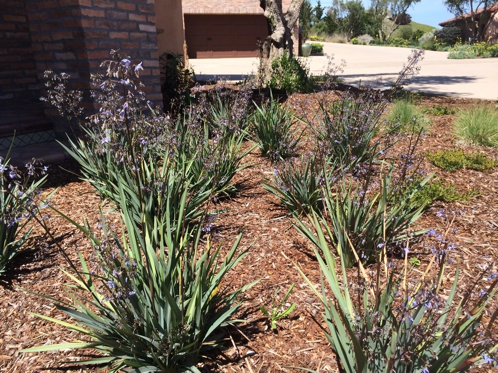 Spanish Revival over Seven Sisters by Jeffrey Gordon Smith Landscape Architecture - Photo 15