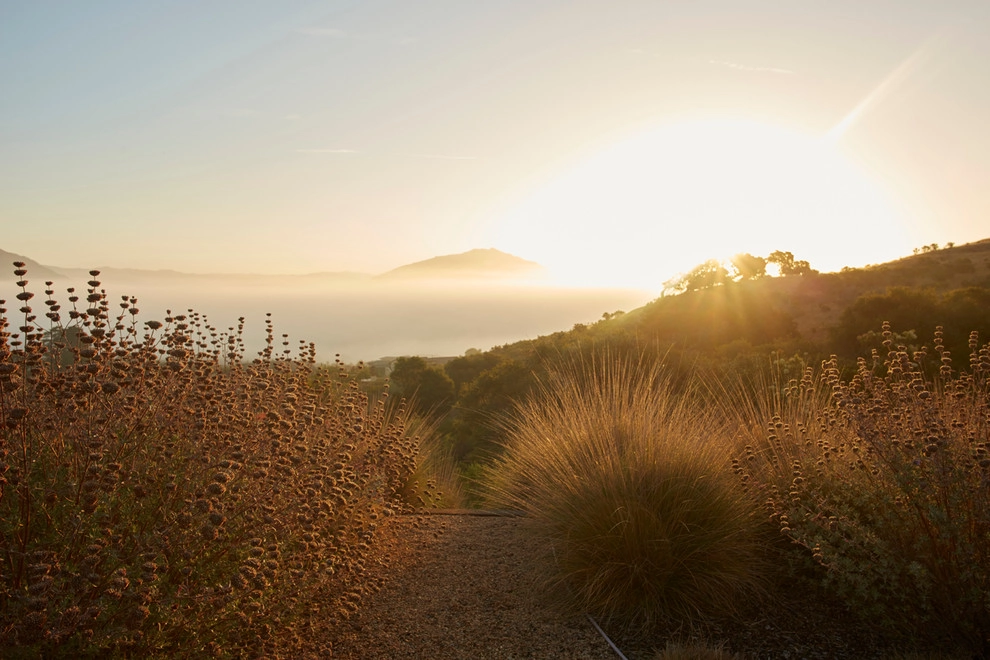 Spanish Revival over Seven Sisters by Jeffrey Gordon Smith Landscape Architecture - Photo 93