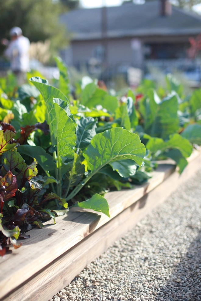 Leighton Ave Urban Farm by Alma Backyard Farms - Photo 24