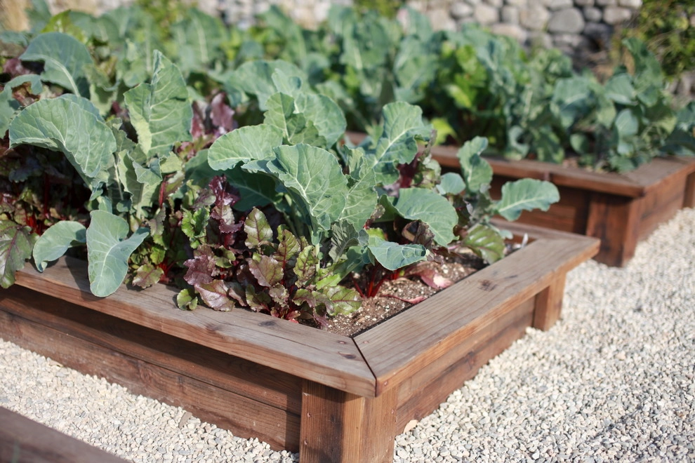 Alma Backyard Farms - Photo 6