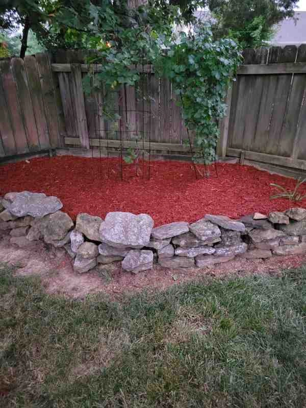 Alberto Alavez Professional Lawn Services LLC 3 by Alberto Alavez Professional Lawn Services LLC - Photo 35