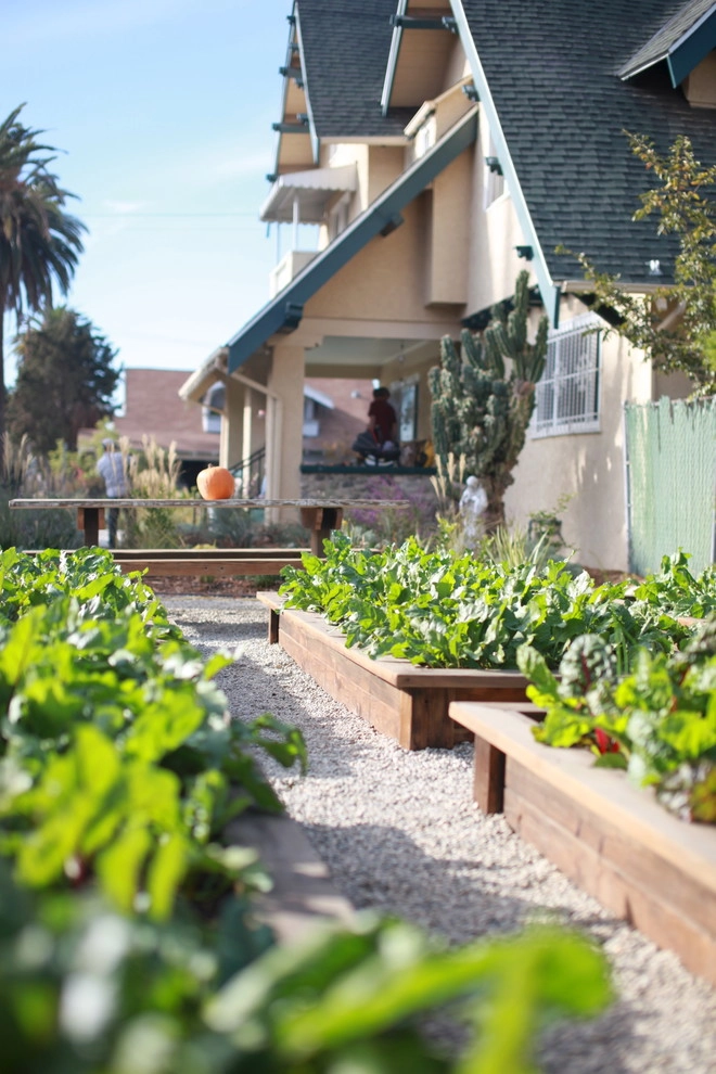 Leighton Ave Urban Farm by Alma Backyard Farms - Photo 19