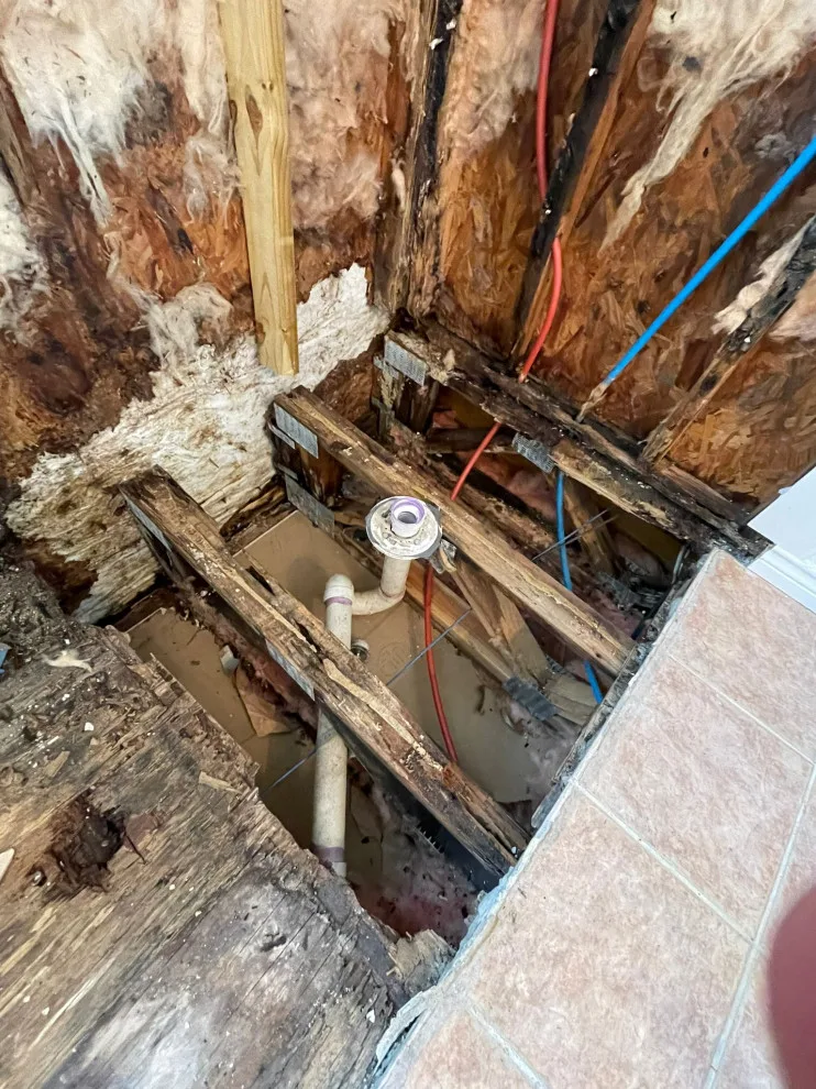 Construct a Walk-In Shower from the Ground Up by Austin Dream Remodeling - Photo 4
