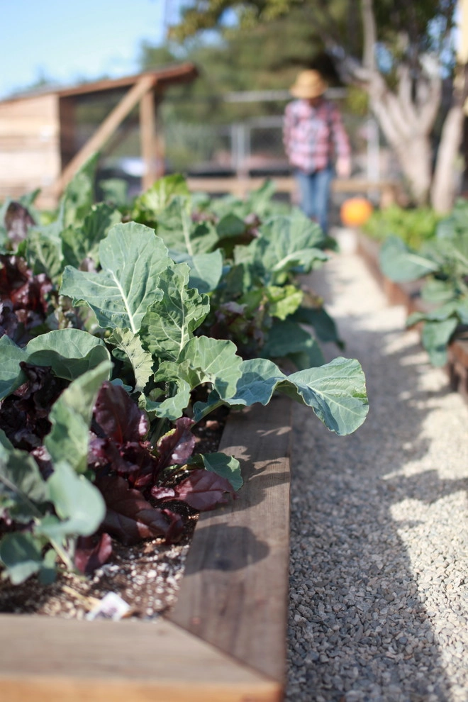 Alma Backyard Farms - Photo 10