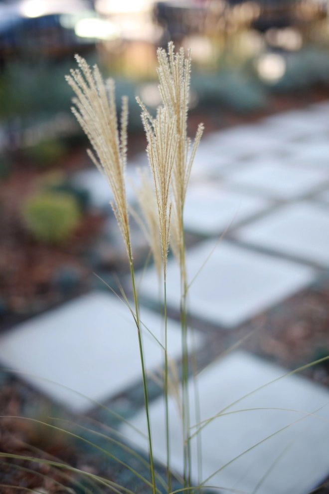 Alma Backyard Farms - Photo 5