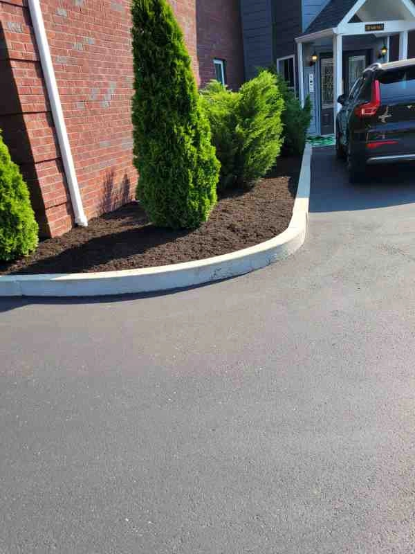 Alberto Alavez Professional Lawn Services LLC 3 by Alberto Alavez Professional Lawn Services LLC - Photo 87