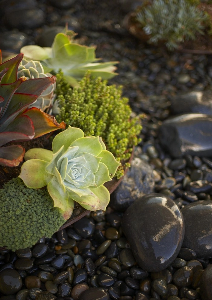 Coastal Influence by Jeffrey Gordon Smith Landscape Architecture - Photo 4