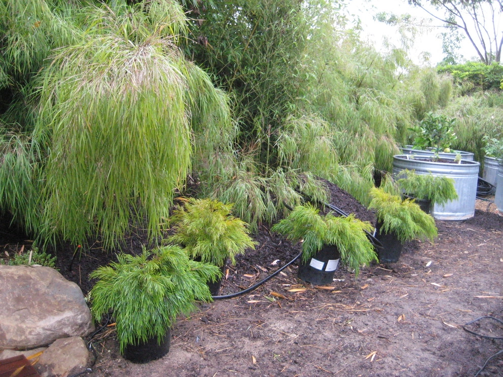 Santa Barbara Modern Ranch by Jeffrey Gordon Smith Landscape Architecture - Photo 37