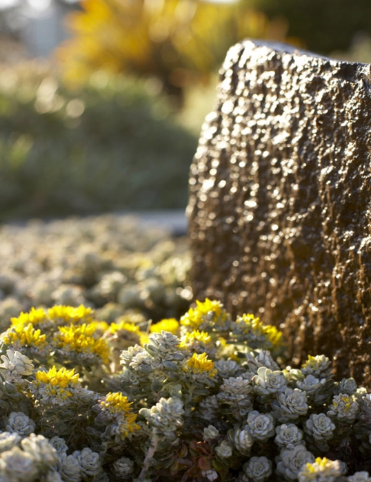Water Features by Jeffrey Gordon Smith Landscape Architecture - Photo 63