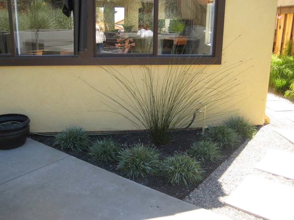 Mod Med by Jeffrey Gordon Smith Landscape Architecture - Photo 12