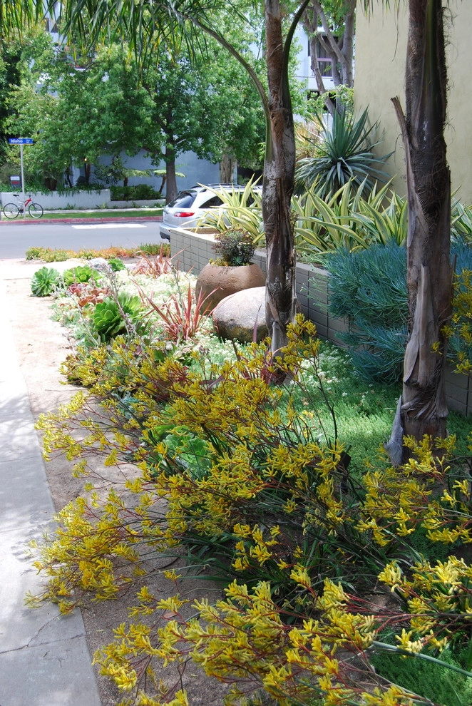Santa Monica Apartments by Jeremy Taylor Landscapes - Photo 8