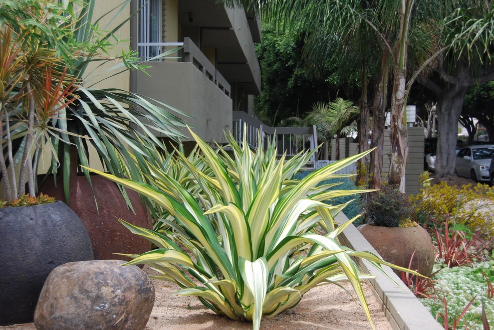 Santa Monica Apartments by Jeremy Taylor Landscapes - Photo 7