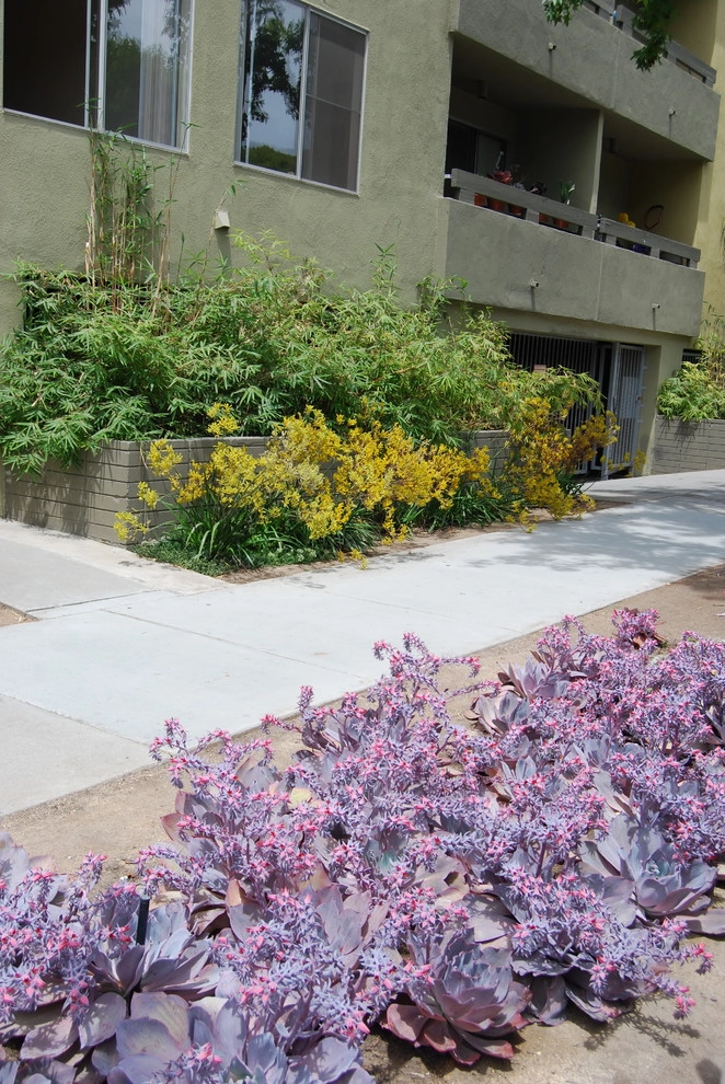 Santa Monica Apartments by Jeremy Taylor Landscapes - Photo 10