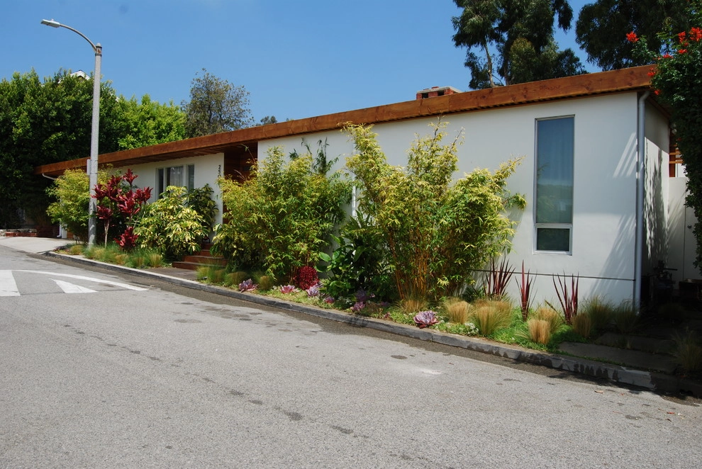 Hollywood by Jeremy Taylor Landscapes - Photo 4