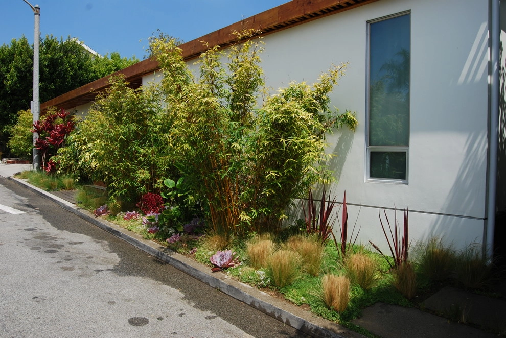 Hollywood by Jeremy Taylor Landscapes - Photo 3