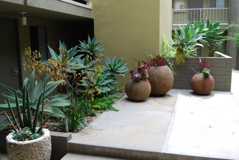 Santa Monica Apartments by Jeremy Taylor Landscapes - Photo 12