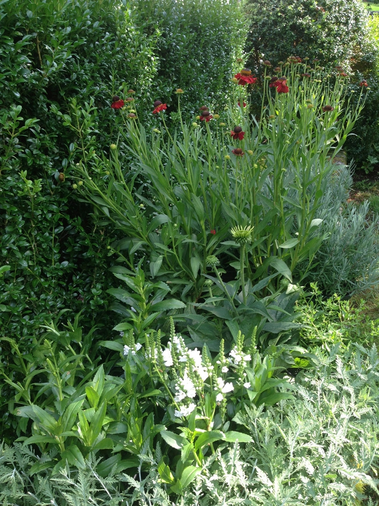 Far Afield by John De Lellis Gardens - Photo 9