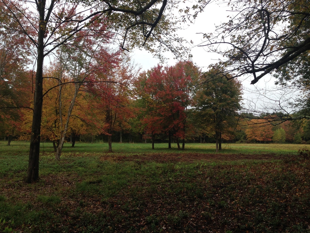 Far Afield by John De Lellis Gardens - Photo 39