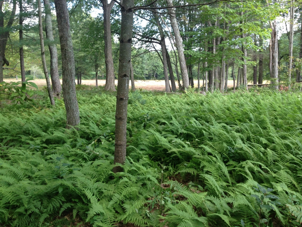 Far Afield by John De Lellis Gardens - Photo 48