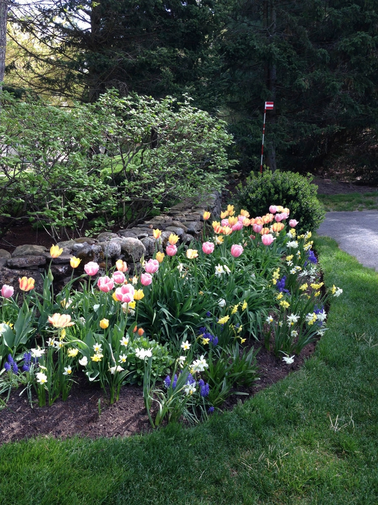 Far Afield by John De Lellis Gardens - Photo 44