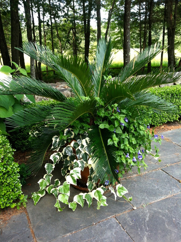 Far Afield by John De Lellis Gardens - Photo 22