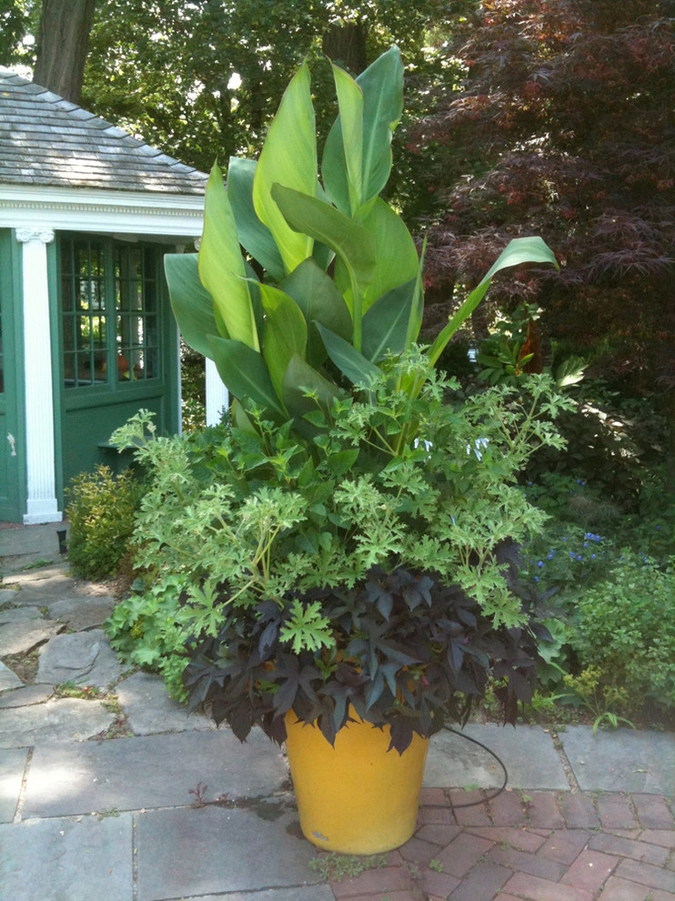 Jonathan Hildreth House by John De Lellis Gardens - Photo 19