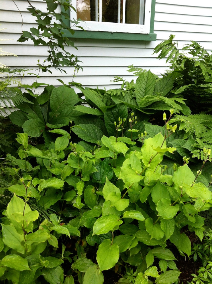 Jonathan Hildreth House by John De Lellis Gardens - Photo 14