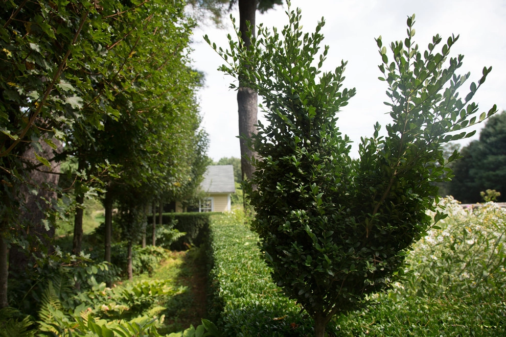 Hugh Cargill House by John De Lellis Gardens - Photo 17