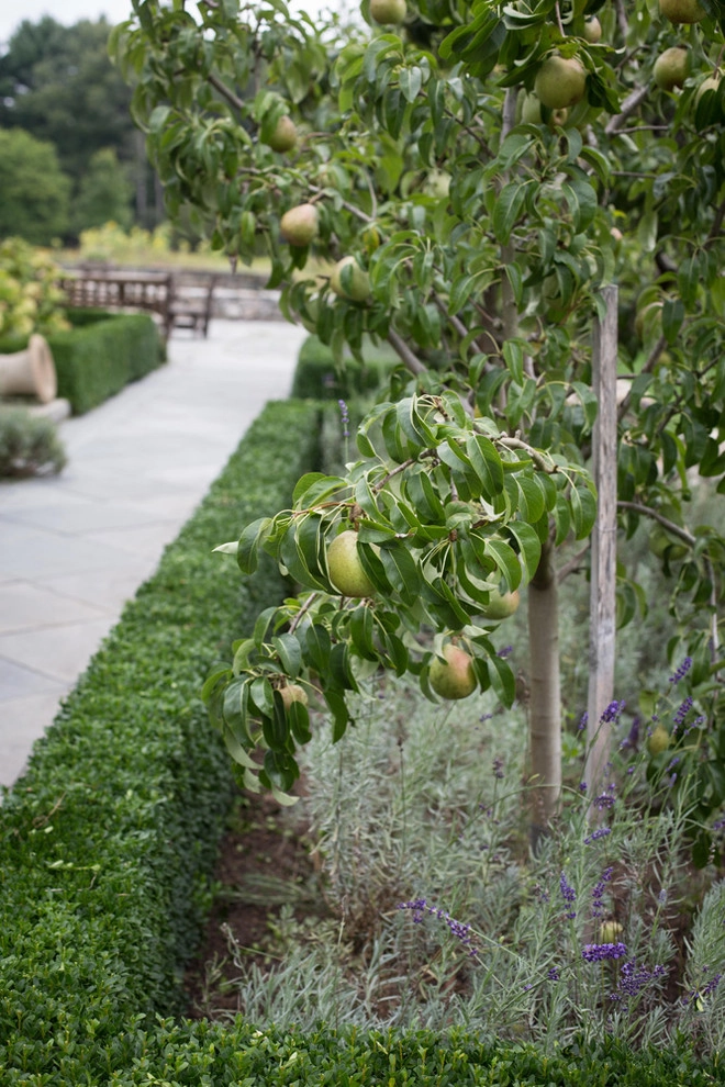 Hugh Cargill House by John De Lellis Gardens - Photo 6