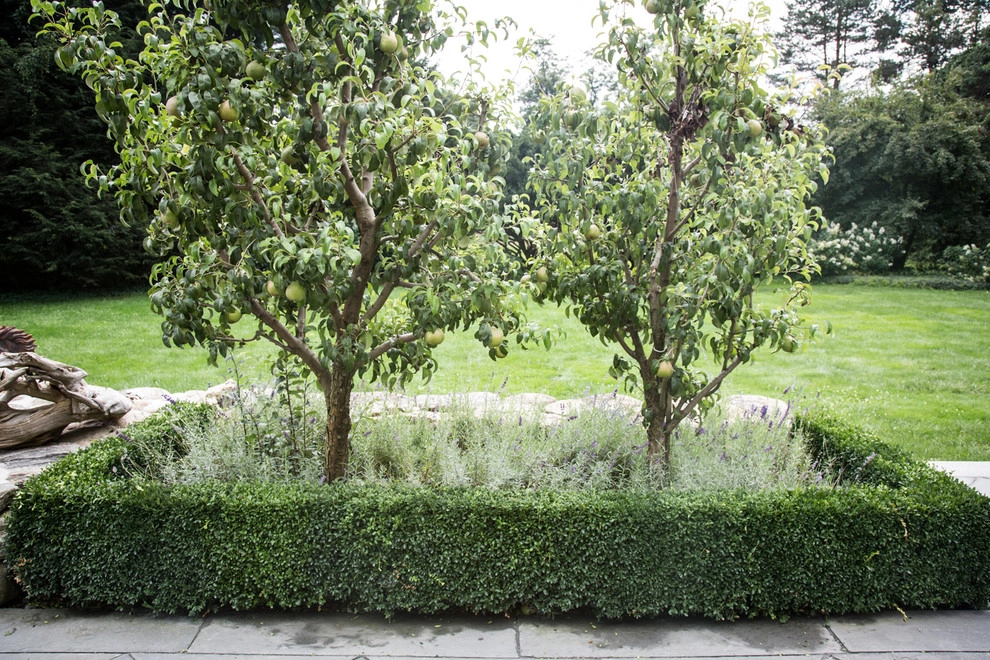 Hugh Cargill House by John De Lellis Gardens - Photo 26
