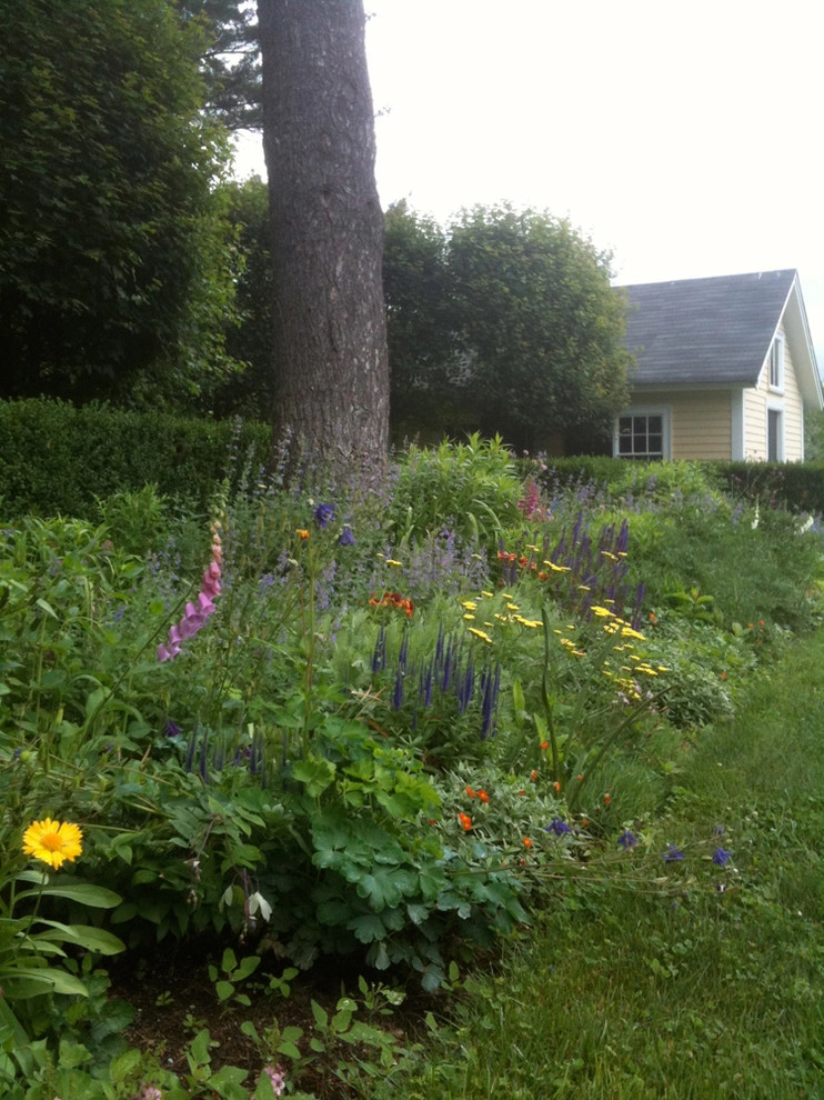 Hugh Cargill House by John De Lellis Gardens - Photo 27
