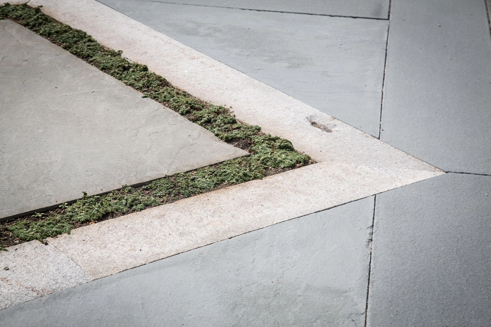 Hugh Cargill House by John De Lellis Gardens - Photo 19