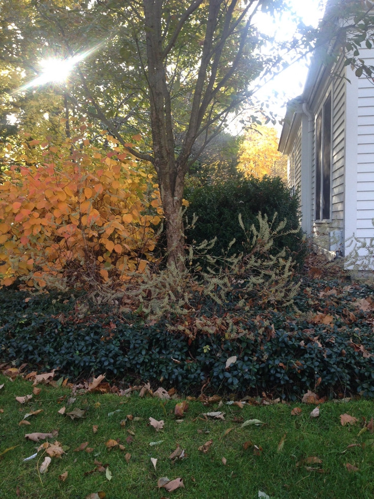 Farmer's Cliff by John De Lellis Gardens - Photo 24