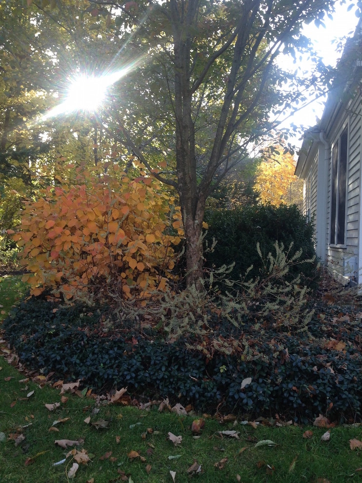 Farmer's Cliff by John De Lellis Gardens - Photo 3