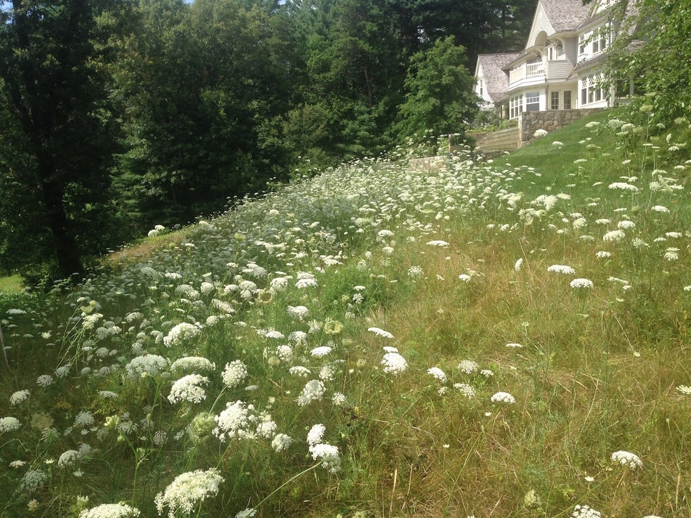 Punkatasset Hill by John De Lellis Gardens - Photo 9