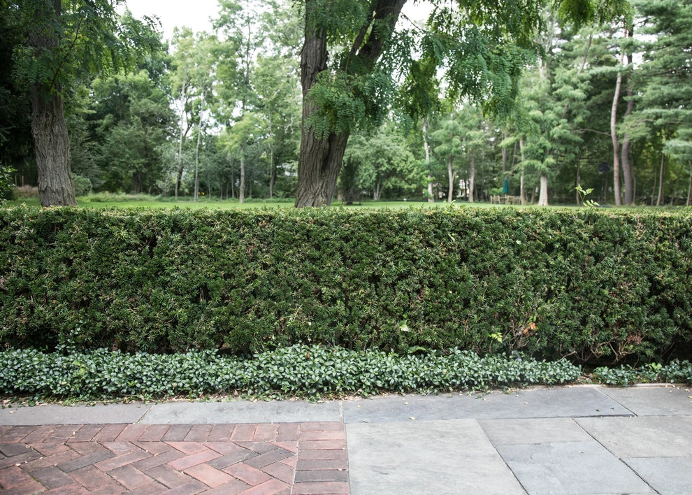 Jonathan Hildreth House by John De Lellis Gardens - Photo 20
