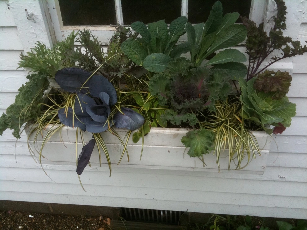 Blue Bird Hill Farm by John De Lellis Gardens - Photo 19
