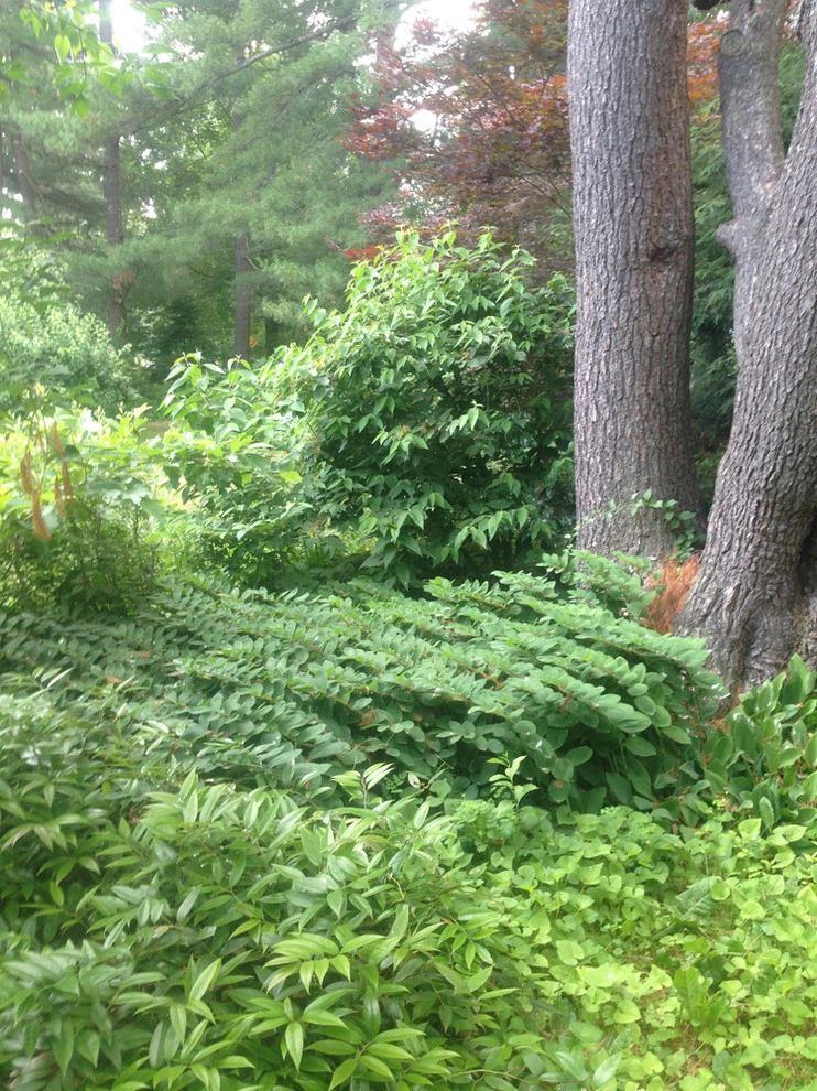 John De Lellis Gardens - Photo 13