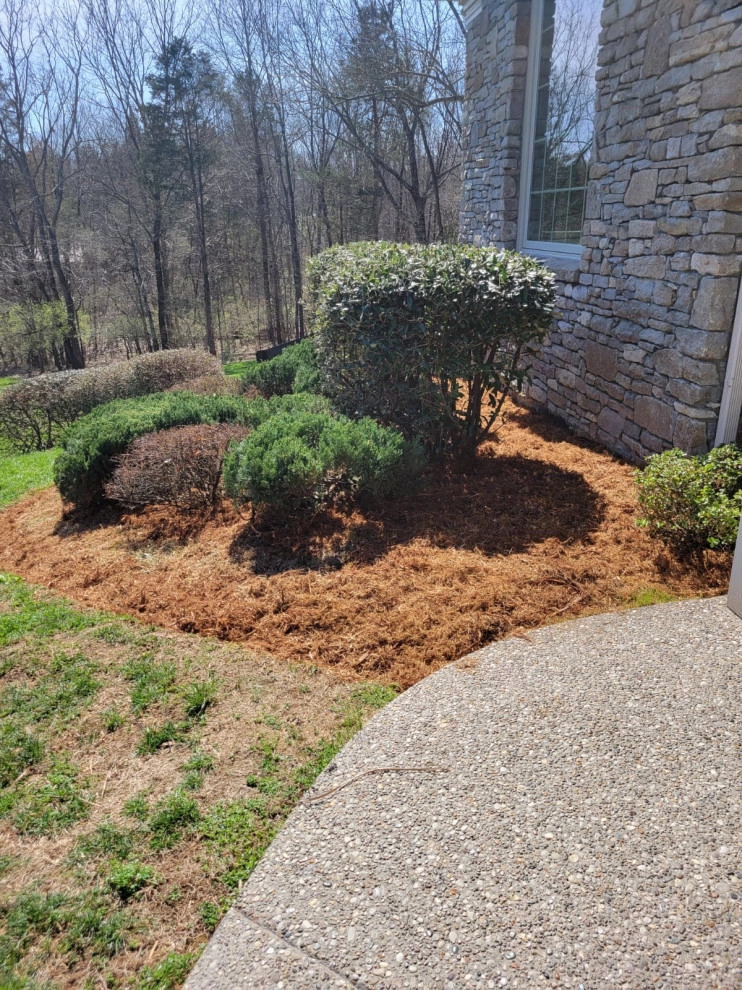 Alberto Alavez Professional Lawn Services LLC 10 by Alberto Alavez Professional Lawn Services LLC - Photo 7