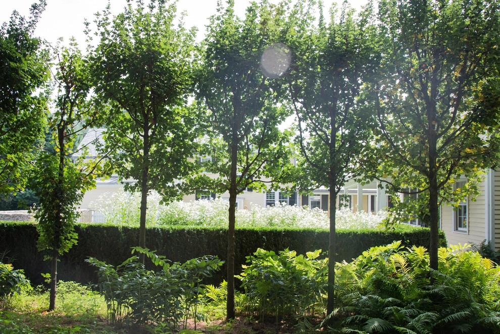 Hugh Cargill House by John De Lellis Gardens - Photo 20