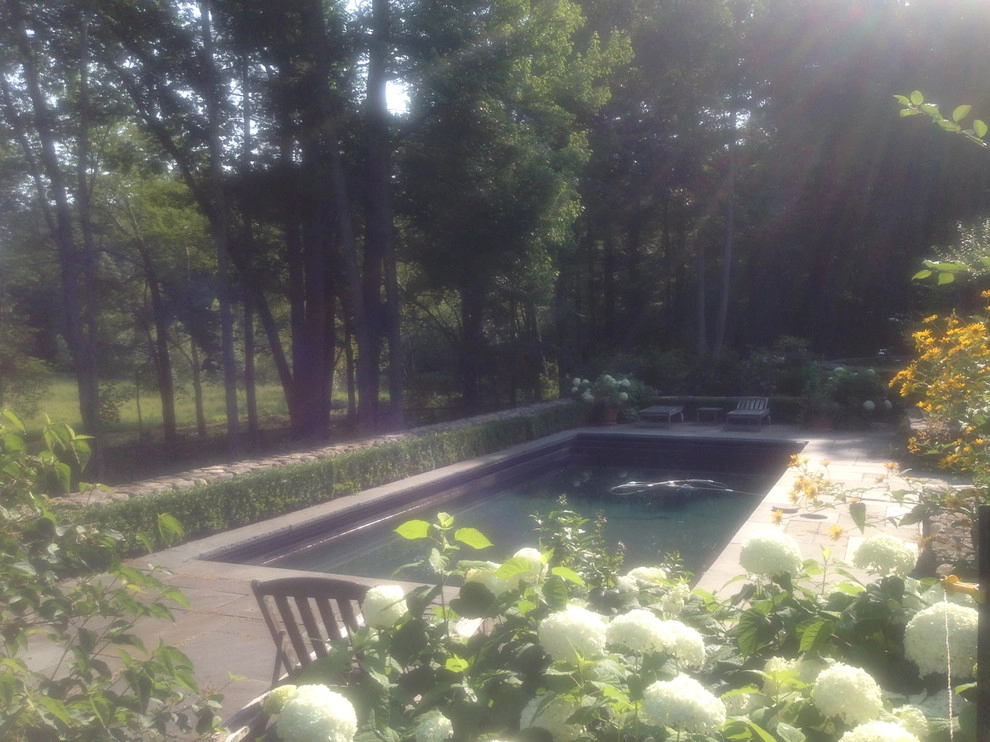Far Afield by John De Lellis Gardens - Photo 2