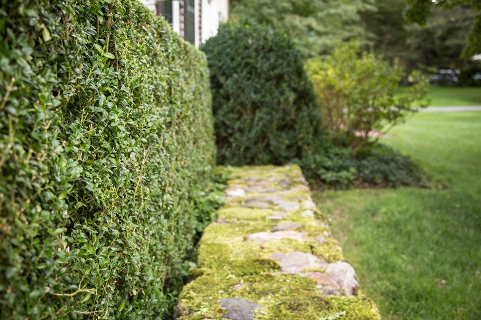 Far Afield by John De Lellis Gardens - Photo 16