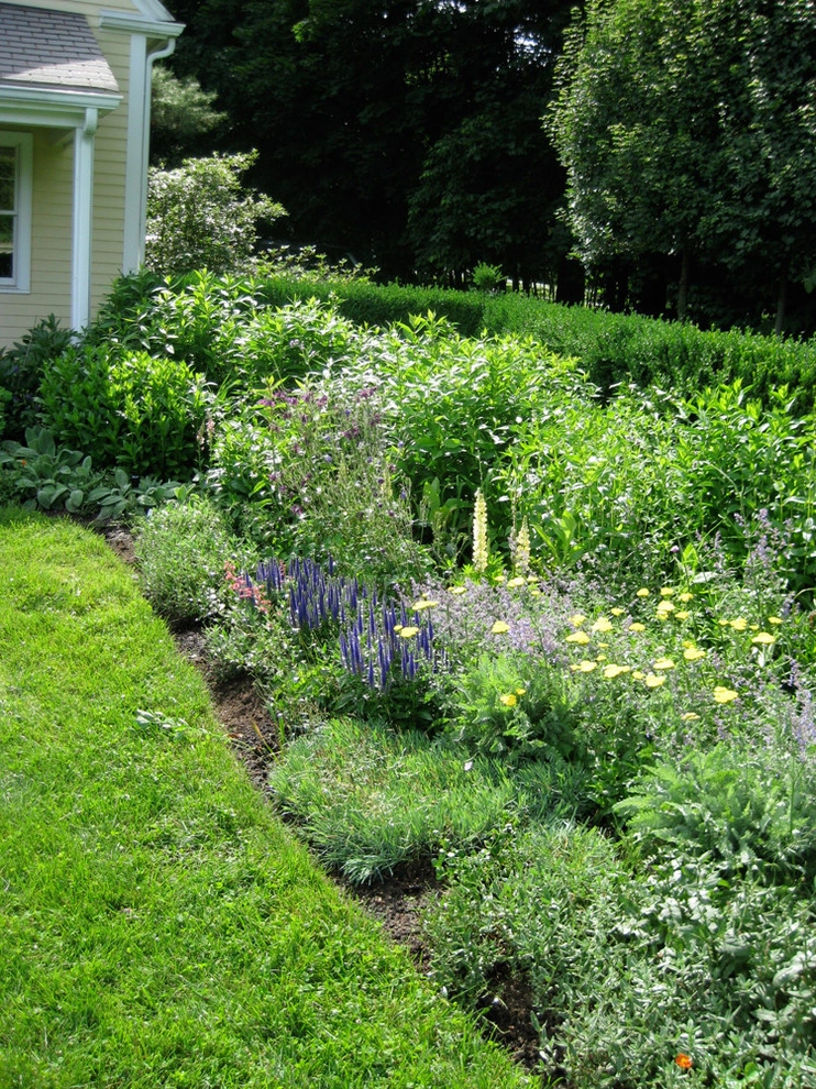 Hugh Cargill House by John De Lellis Gardens - Photo 16
