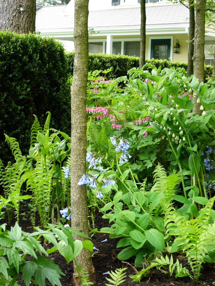 Hugh Cargill House by John De Lellis Gardens - Photo 11