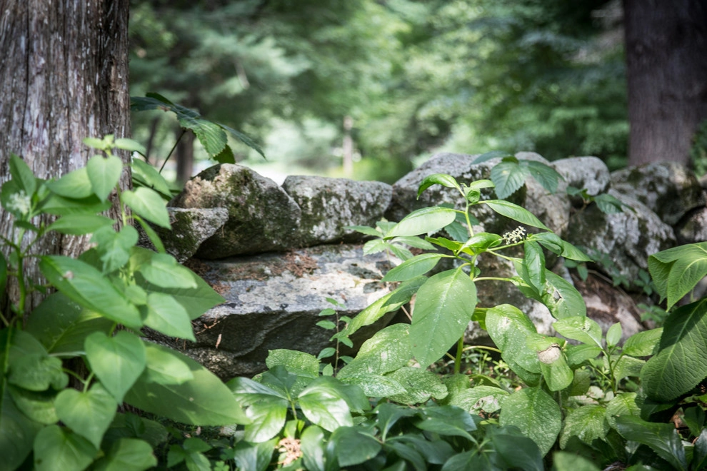 Farmer's Cliff by John De Lellis Gardens - Photo 4