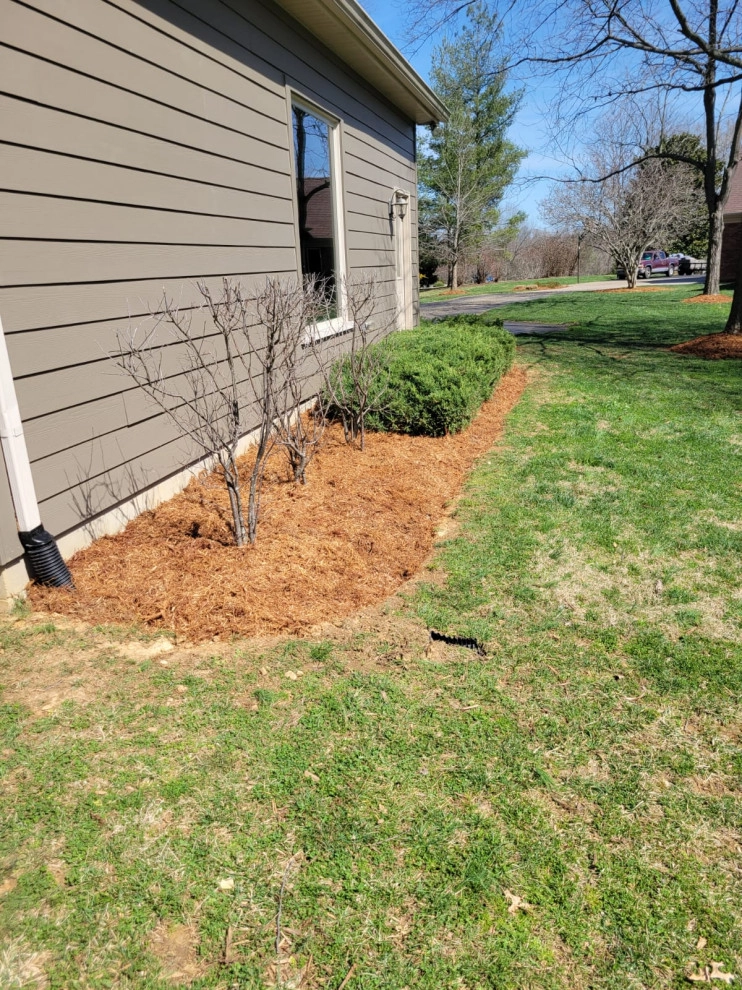 Alberto Alavez Professional Lawn Services LLC 10 by Alberto Alavez Professional Lawn Services LLC - Photo 2